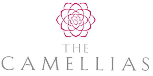 CAMELLIAS