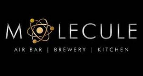 MOLECULE AIR BAR